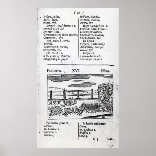 Plant Husbandry uit Orbis sensualism pictus Poster (Voorkant)