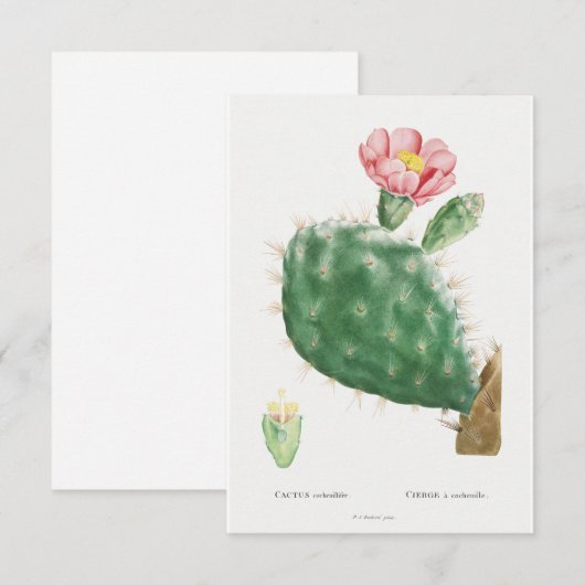  plant-illustratiekaart (Voorkant / Achterkant)