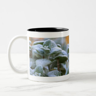 Plant in een tuin, gevroren tweekleurige koffiemok