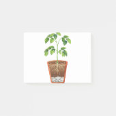 Plant in pot post-it® notes (Voorkant)
