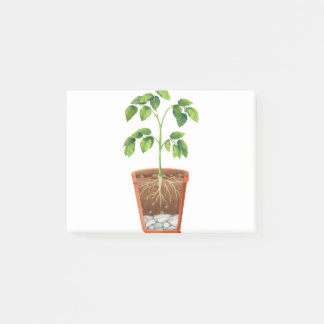 Plant in pot post-it® notes