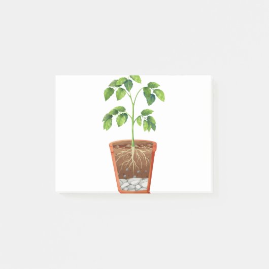 Plant in pot post-it® notes (Voorkant)