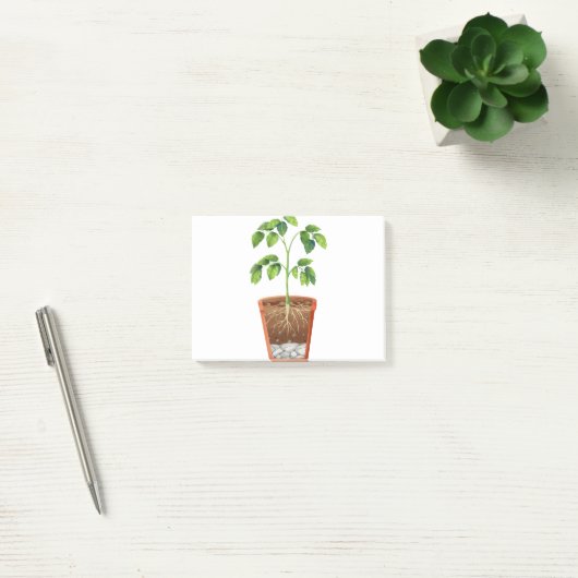 Plant in pot post-it® notes (Kantoor)