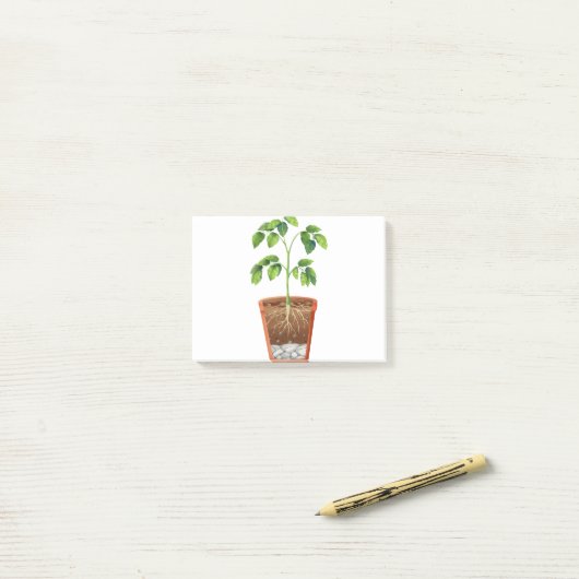 Plant in pot post-it® notes (Op bureau)