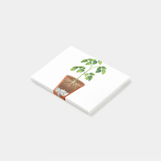 Plant in pot post-it® notes (Schuin)