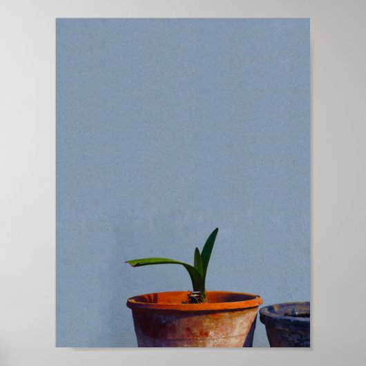 Plant in Pot Poster (Voorkant)