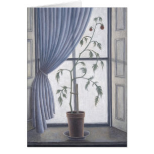 Plant in venster 2003