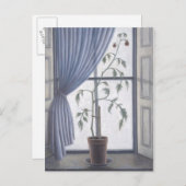 Plant in venster 2003 briefkaart (Voorkant / Achterkant)