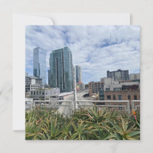 PLANT ITINERARY: San Francisco Aankondiging