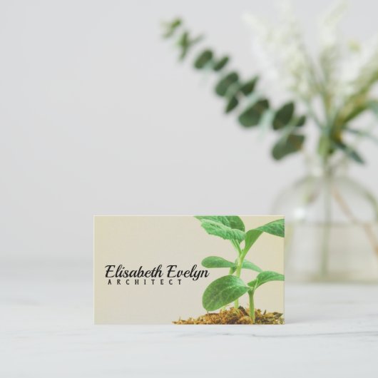 Plant jonge bomen visitekaartje (Staand voorkant)