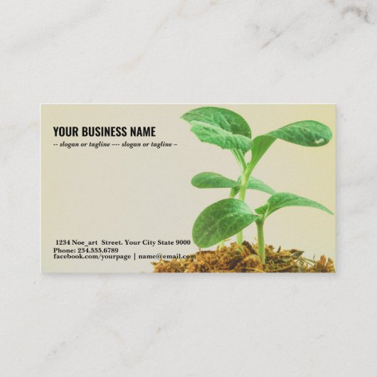 Plant jonge bomen visitekaartje (Achterkant)