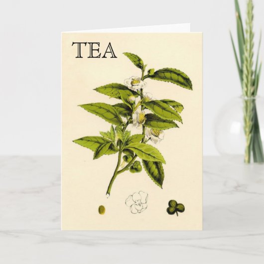Plant Kaart (Voorkant)