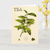 Plant Kaart (Gele Bloem)