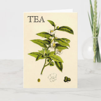 Plant Kaart