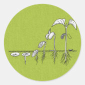 Plant kieming illustratie ronde sticker (Voorkant)