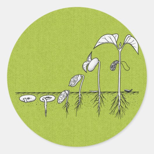 Plant kieming illustratie ronde sticker (Voorkant)