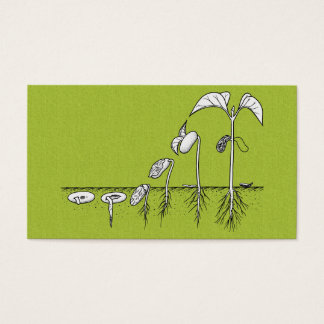 Plant kieming illustratie visitekaartjes