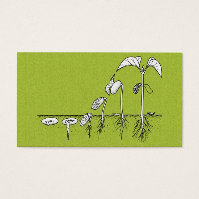 Plant kieming illustratie visitekaartjes (Voorkant)