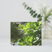 Plant lekt tegen Louvers in Botanische Building Briefkaart (Staand voorkant)