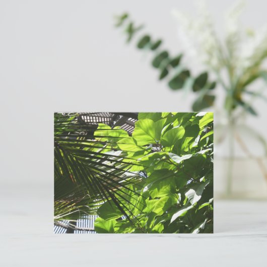Plant lekt tegen Louvers in Botanische Building Briefkaart (Staand voorkant)
