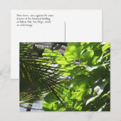 Plant lekt tegen Louvers in Botanische Building Briefkaart (Voorkant / Achterkant)