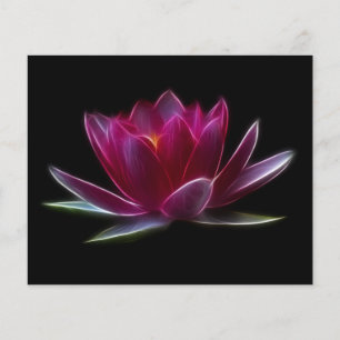 Plant Lotus Flower Water Flyer
