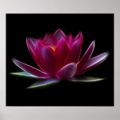 Plant Lotus Flower Water Poster (Voorkant)