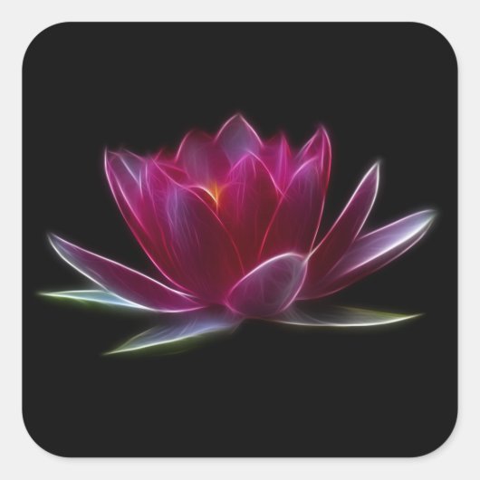 Plant Lotus Flower Water Vierkante Sticker (Voorkant)