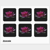 Plant Lotus Flower Water Vierkante Sticker (Vel)
