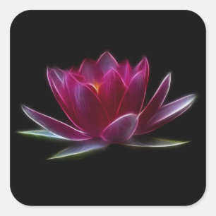 Plant Lotus Flower Water Vierkante Sticker