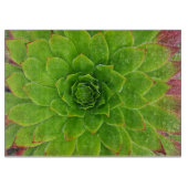 Plant Lover Aeonium Magic Snijplank (Voorkant)