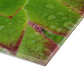 Plant Lover Aeonium Magic Snijplank (Hoek)