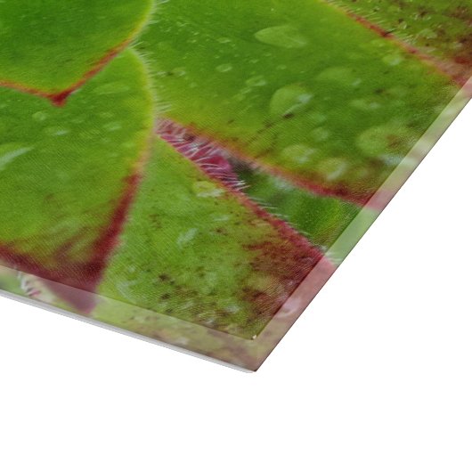 Plant Lover Aeonium Magic Snijplank (Hoek)