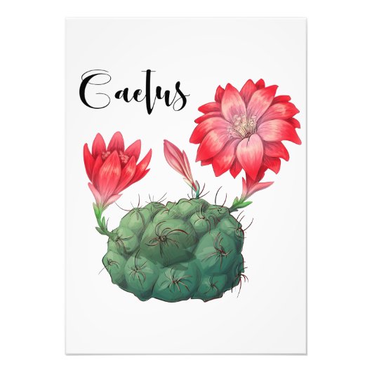 Plant Lover Cactus Plant Foto Afdruk (Voorkant)