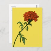 Plant Lover Gardener Briefkaart (Voorkant / Achterkant)