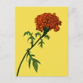 Plant Lover Gardener Briefkaart (Voorkant)