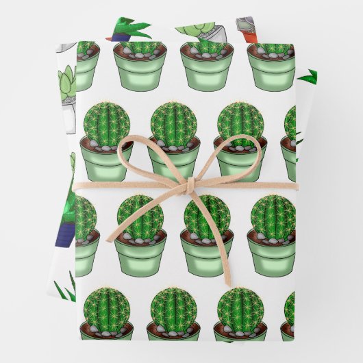 Plant Lovers Hand Drawn Cacti and Succulents Inpakpapier Vel (In situ)