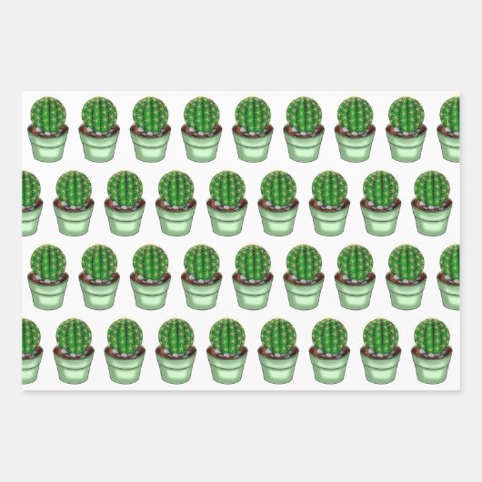 Plant Lovers Hand Drawn Cacti and Succulents Inpakpapier Vel (Voorkant)