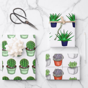 Plant Lovers Hand Drawn Cacti and Succulents Inpakpapier Vel