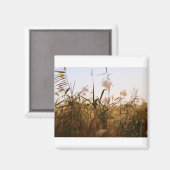 plant magneet (Voorkant / Achterkant)