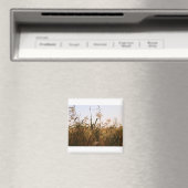 plant magneet (Insitu (Vaatwasser))