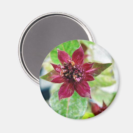  Plant Magneet (Voorkant / Achterkant)