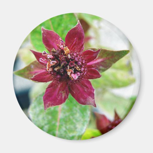  Plant Magneet (Voorkant)