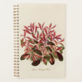 Plant Mama Tuinier Papa 2022 Planner (Voorkant)