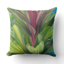 PLANT MEER