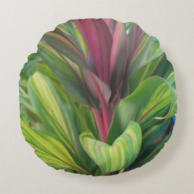 PLANT MEER  ROND KUSSEN (Voorkant)