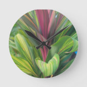 PLANT MEER RONDE KLOK (Voorkant)