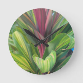 PLANT MEER  RONDE KLOK