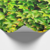 Plant met groene afdekking cadeaupapier (Hoek)