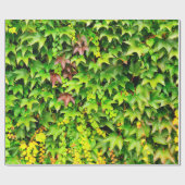 Plant met groene afdekking cadeaupapier (Vlak)